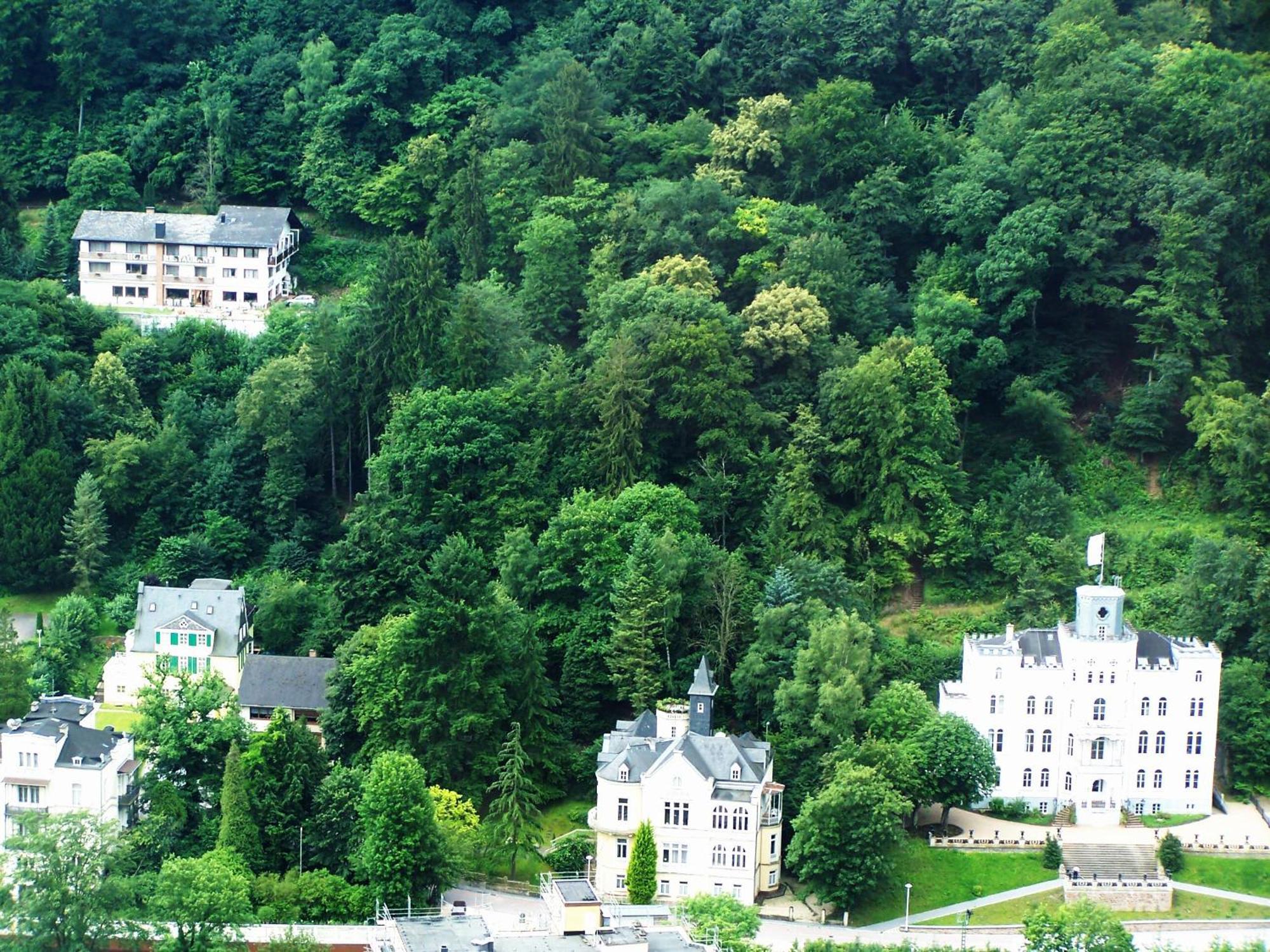 Ferienwohnung "Villa Alexander" 4 Dtv-Sternen Neu Eroeffnung Bad Ems Exterior foto